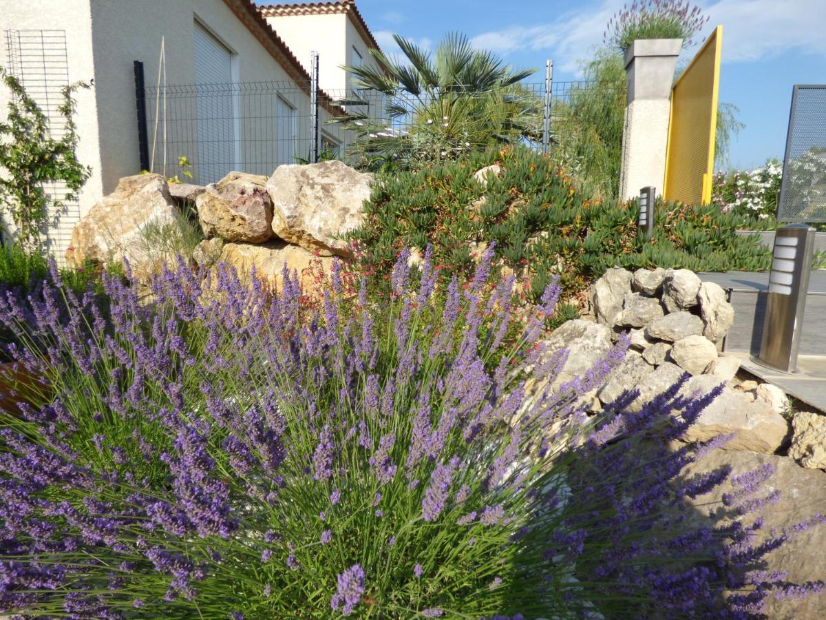 La Villa Du Saule Salles-dʼAude Eksteriør bilde